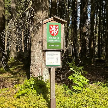 - Ostruvek 203 * Lesna (Tachov)