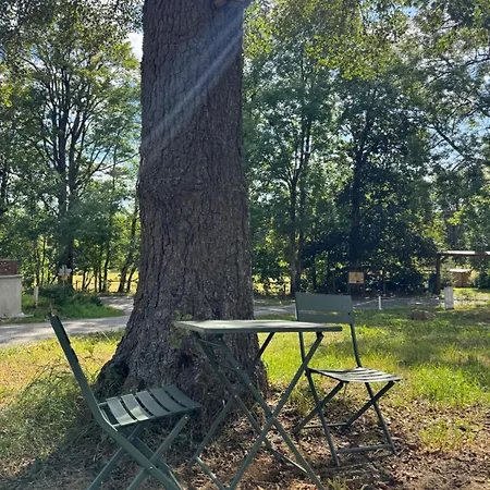 - Ostrůvek 203 Apartmán *